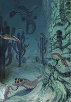 Burgess Shale environment - Middle Cambrian. The large predator Anomalocaris looms in the background as
Opabinia pulls Burgessochaeta from its burrow.