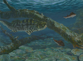 Coccosteus and Pterichthyodes - Middle Devonian
In a shallow lake Coccosteus pursues Pterichthyodes.
Among the first fish with jaws, these placoderms
featured heavily armored head and body shields.