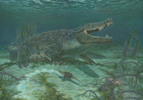 Deinosuchus - Cretaceous.
This crocodylian reached lengths of 45 feet and may have preyed on young tyrannosaurids in its marshy habitat.