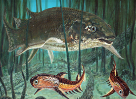 Dipterus and Climatius - Middle Devonian. 
The extinct lungfish Dipterus swims by two acanthodian
Climatius. These early fish bristled with defensive spines.