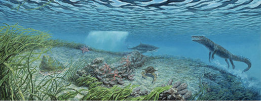 Eocene - Nearshore Habitat
Saltwater crocodiles and sand tiger sharks shared this
environment with extinct gastropods like Gistoria.