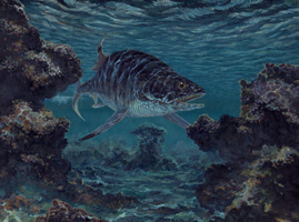 Hypsocormus - Middle to Late Jurassic. 
This fast swimming predator had features in common with both primitive teleosts and advanced neopterygians.