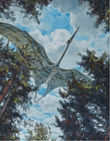 Quetzalcoatlus - Cretaceous. Perhaps the largest flying creature of all time, Quetzalcoatlus had a
wing span of 11-12m.